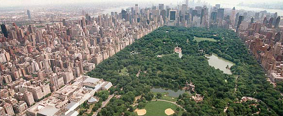 Central Park, New York, June 2003.