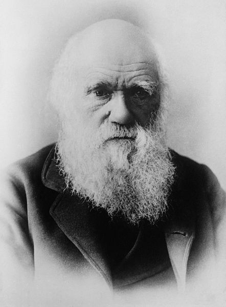 Charles Darwin (1809-1882), a photograph by Elliott & Fry (1879).
