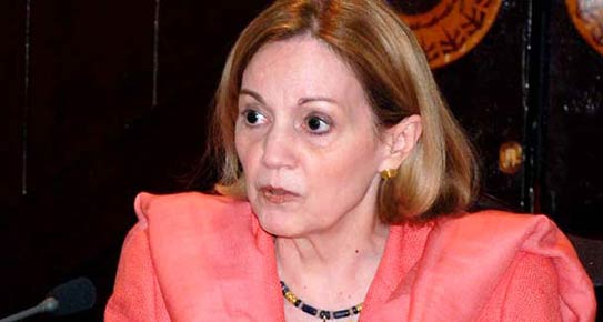 The U.S. Ambassador to Egypt Anne Patterson