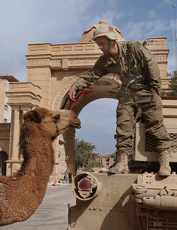 A U.S army soldier pets a camel inside the gates of the Iraqi Presidental Palace, Baghdad, April 15, 2003.