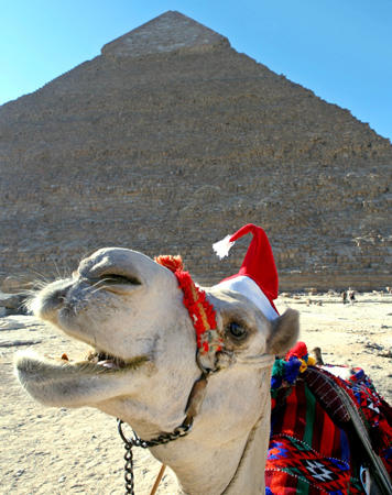 A camel with Santa Clause hat, placed on the animal's head by his owner to attract foreign tourists, sits in front of the 4,500-year-old Pyramids at Giza, December 24, 2003.