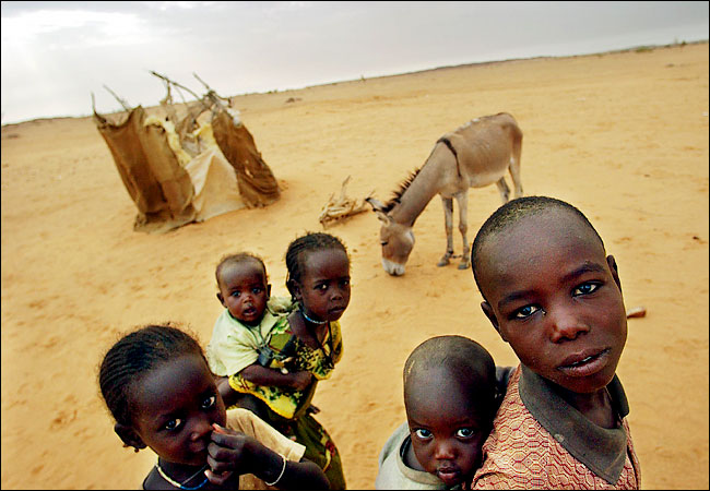 Most of about a million Sudanese refugees, nearly all of them black Darfurians, are driven across the border into Chad, August 2004.