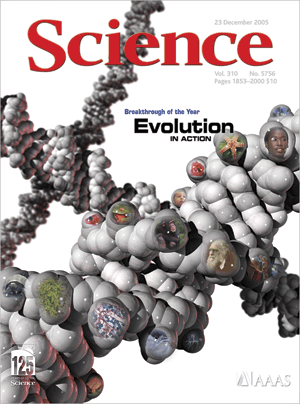 'Breakthrough of the Year: Evolution in Action,' the theme picked for year 2005 by Science magazine cover of December 23, 2005 issue.