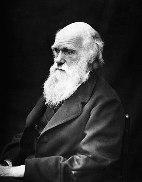 Charles Darwin (1809-1882), a photograph by J. Cameron, (1869).